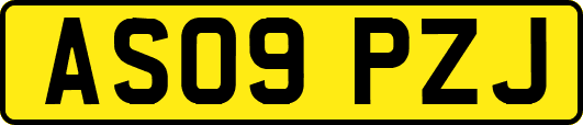 AS09PZJ