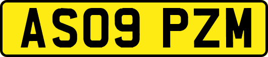 AS09PZM