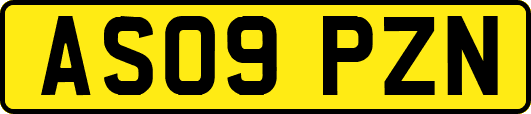 AS09PZN