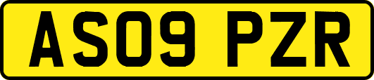AS09PZR