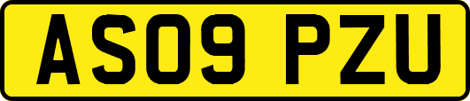 AS09PZU