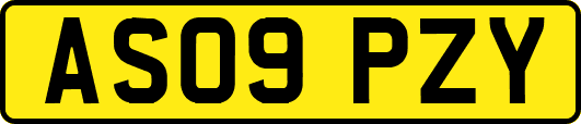 AS09PZY