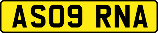 AS09RNA