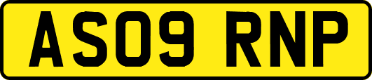 AS09RNP