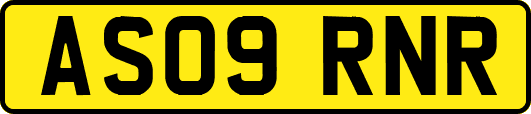 AS09RNR