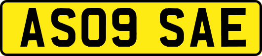 AS09SAE
