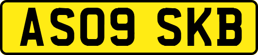 AS09SKB