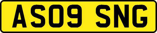 AS09SNG