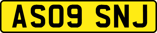 AS09SNJ