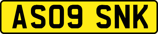 AS09SNK