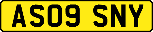 AS09SNY