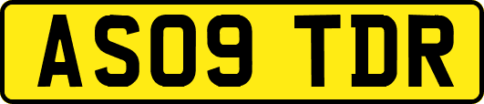 AS09TDR