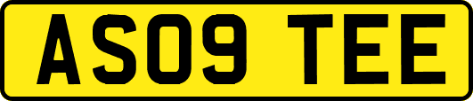 AS09TEE