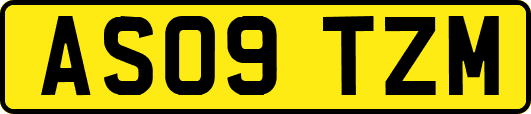 AS09TZM
