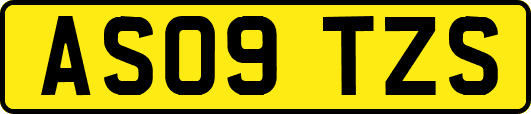 AS09TZS