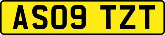 AS09TZT