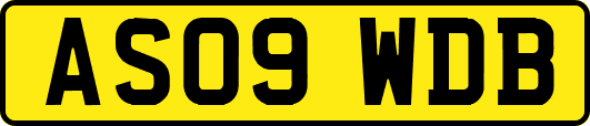 AS09WDB