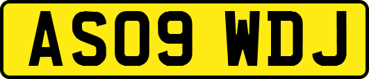 AS09WDJ