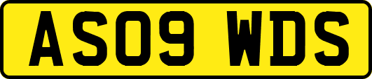 AS09WDS