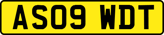AS09WDT