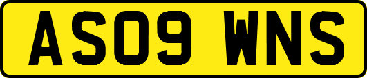 AS09WNS