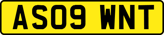 AS09WNT