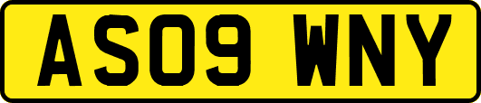 AS09WNY