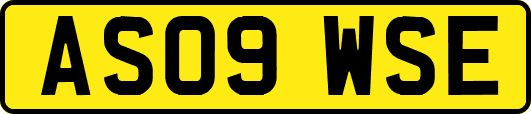 AS09WSE