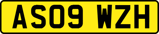 AS09WZH