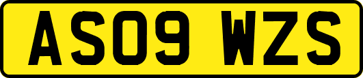 AS09WZS