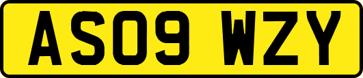 AS09WZY