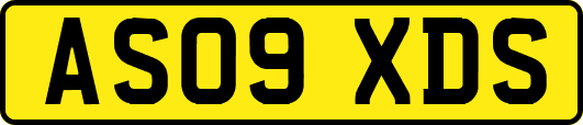 AS09XDS