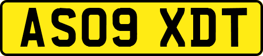 AS09XDT