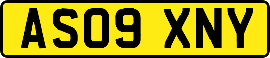 AS09XNY