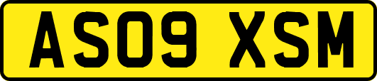 AS09XSM
