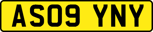 AS09YNY