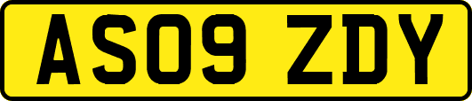 AS09ZDY