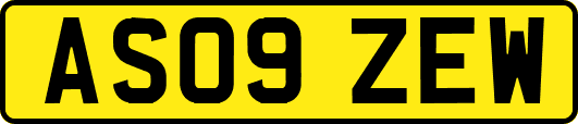 AS09ZEW