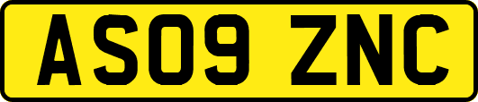 AS09ZNC