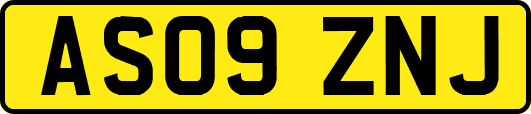 AS09ZNJ