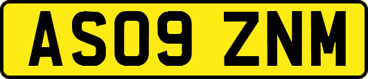 AS09ZNM