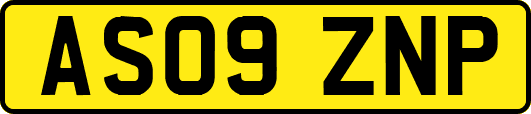 AS09ZNP