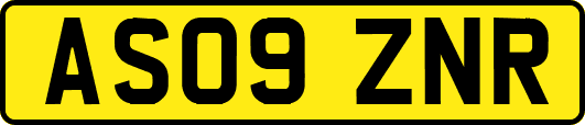 AS09ZNR