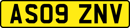 AS09ZNV