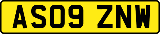 AS09ZNW