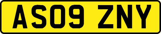 AS09ZNY