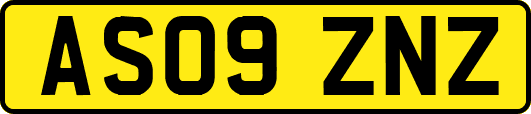 AS09ZNZ