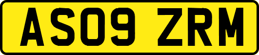 AS09ZRM