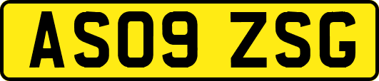 AS09ZSG