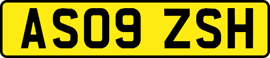 AS09ZSH